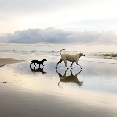 Anchor - Part Of The The Bay Village With Pool, Gym And Direct Access, Pub, Restaurant, Tennis And Meadows Walks * 파일리